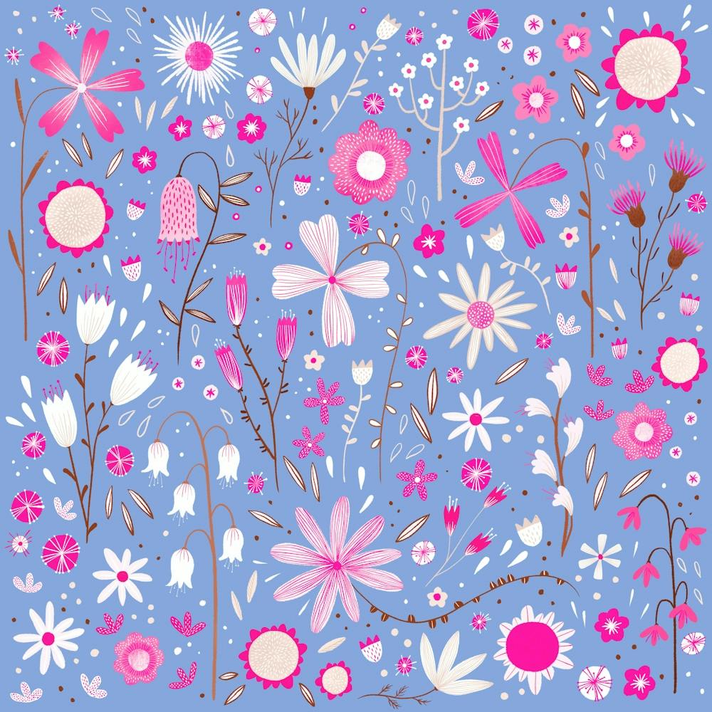 Pink and White Wild Flowers on Blue