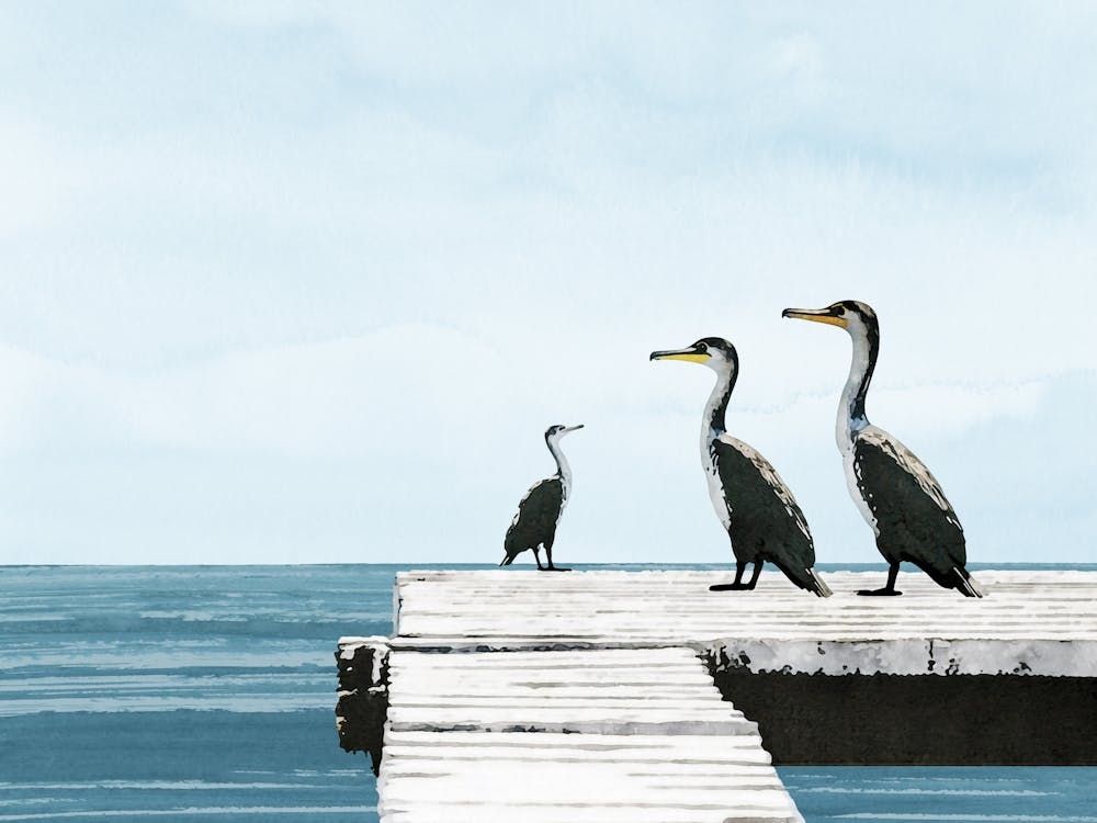 Cormorants on the Dock Blue and Grey Coastal Watercolor