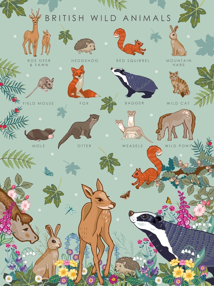 British Wild Animals