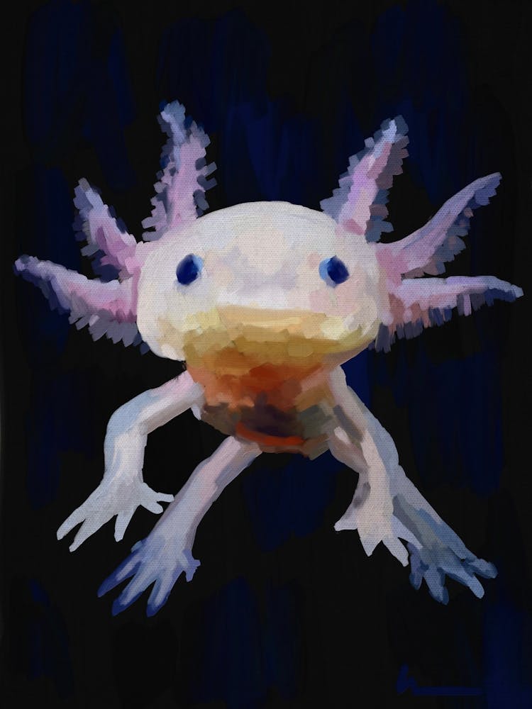 Axolotl