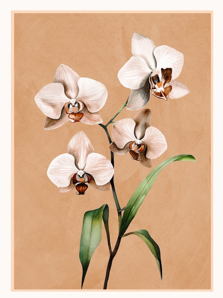 White Orchid Floral Art 2