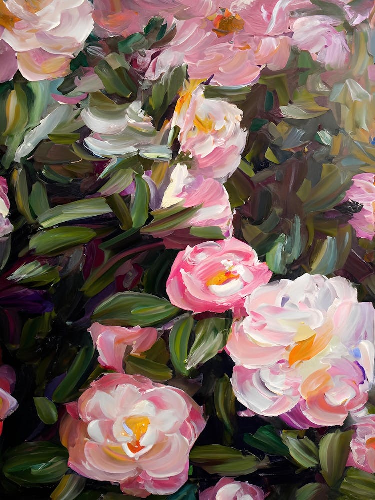 Pivoines roses
