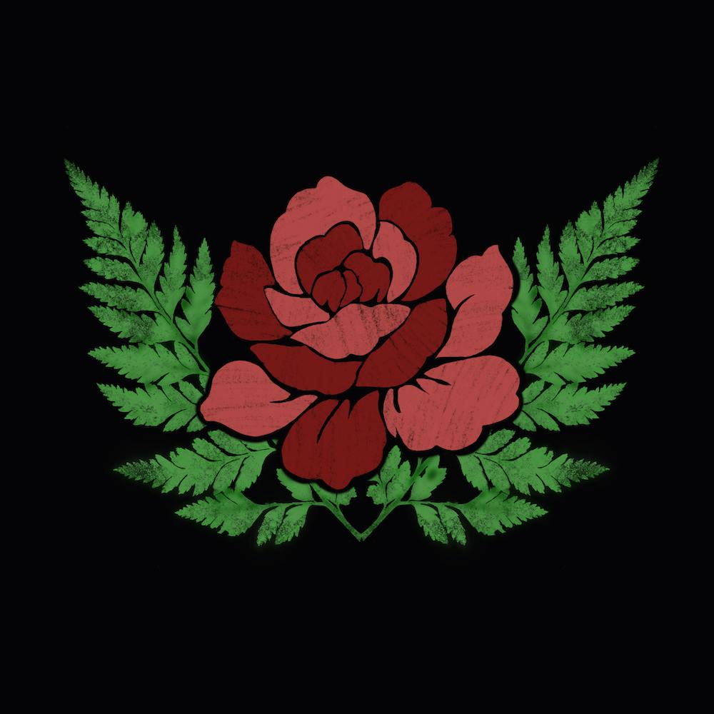 Ferns And Roses