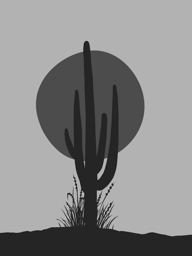 Cactus Silhouette