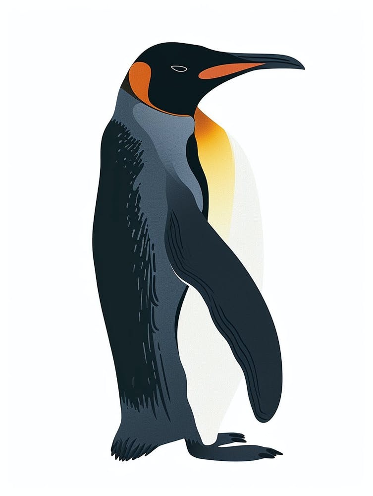 King Penguin Cooper Bay Minimalist Illustration 2