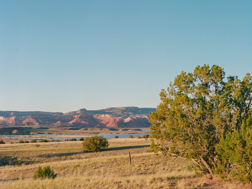 Abiquiu VIII on Film