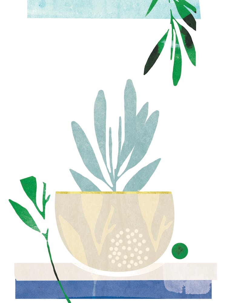 Blue Pot Plant