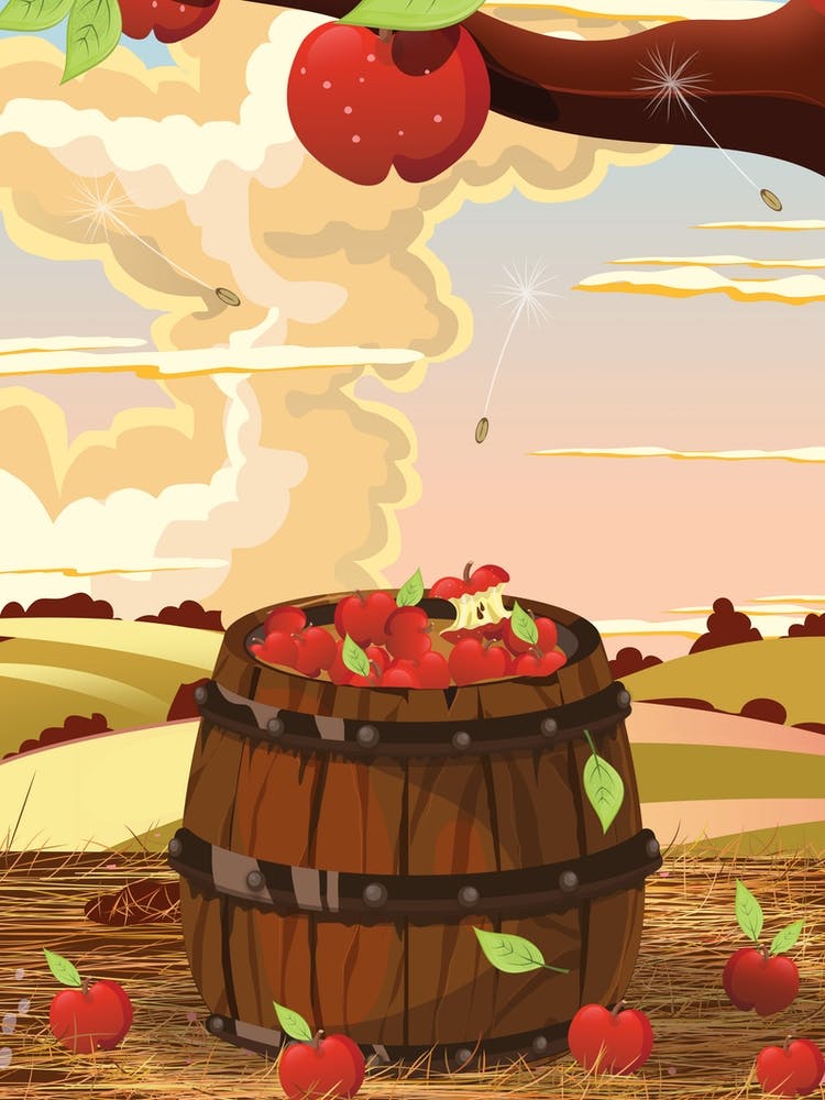 Late Summer Apple Barrel