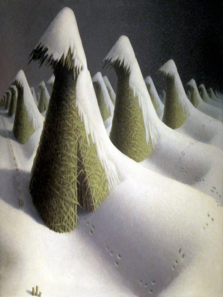 Snowy Landscape