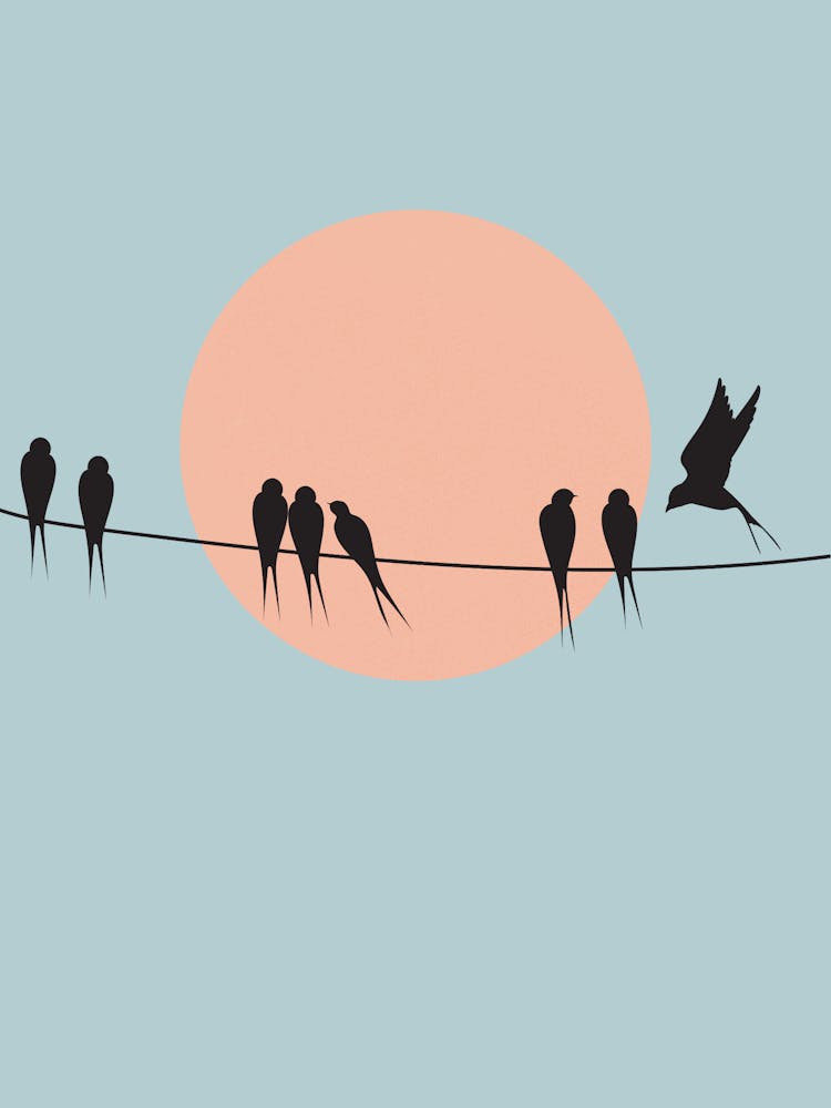 Birds On A Wire