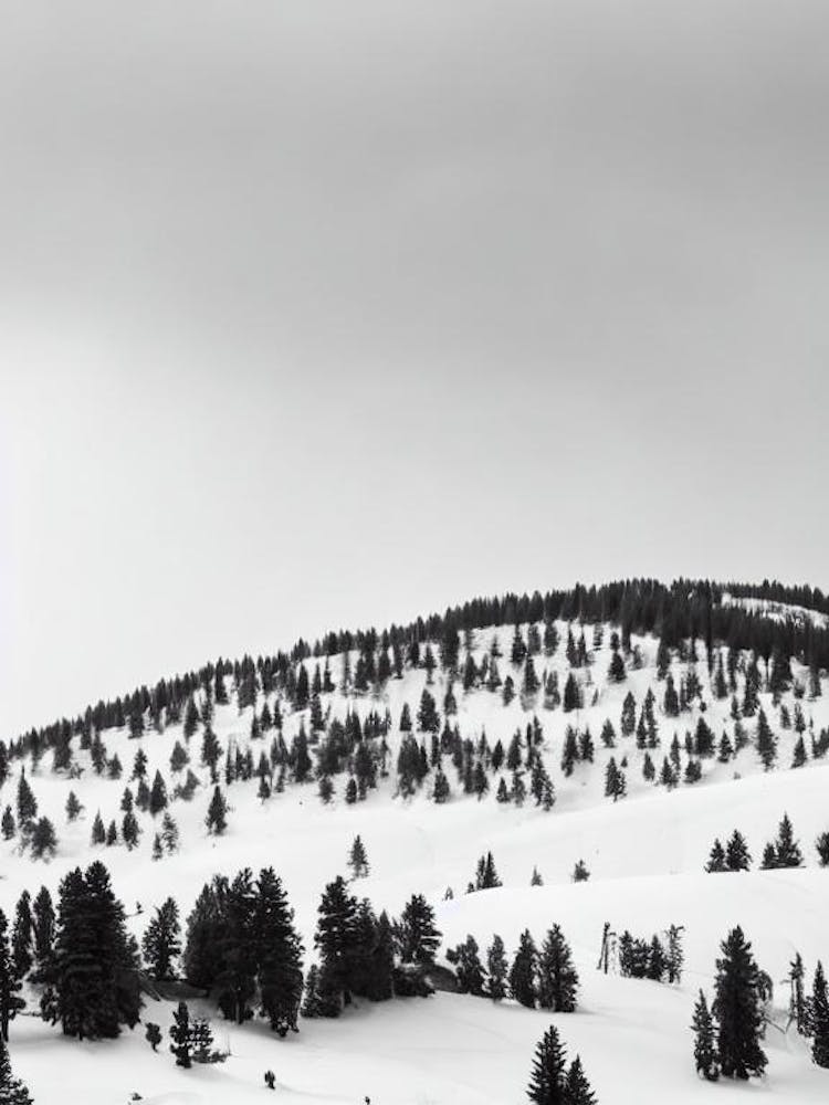 Bansko, Bulgaria Black And White Skiing Poster