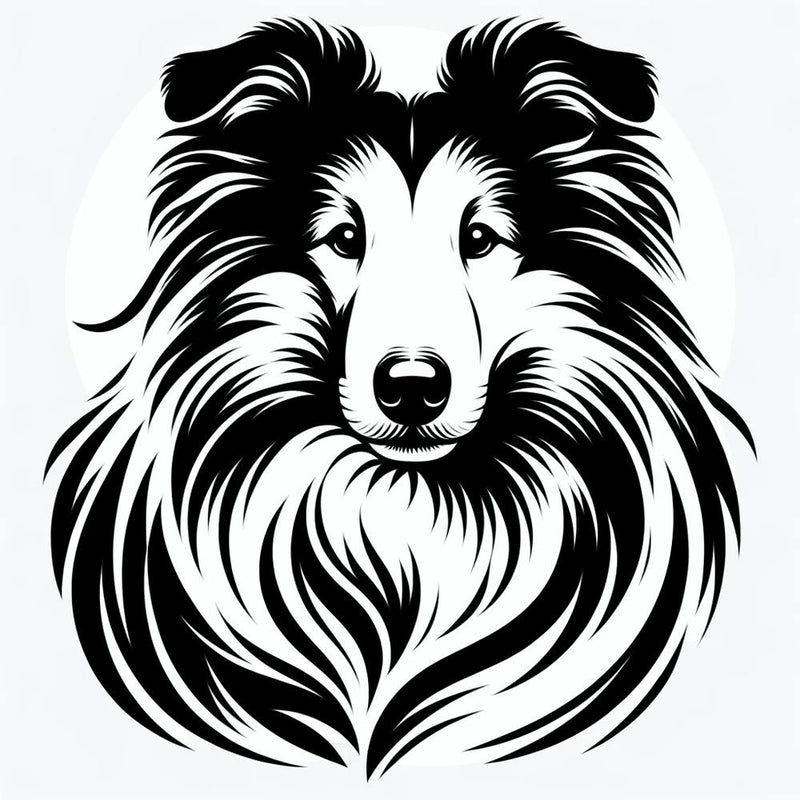 Collie Dog