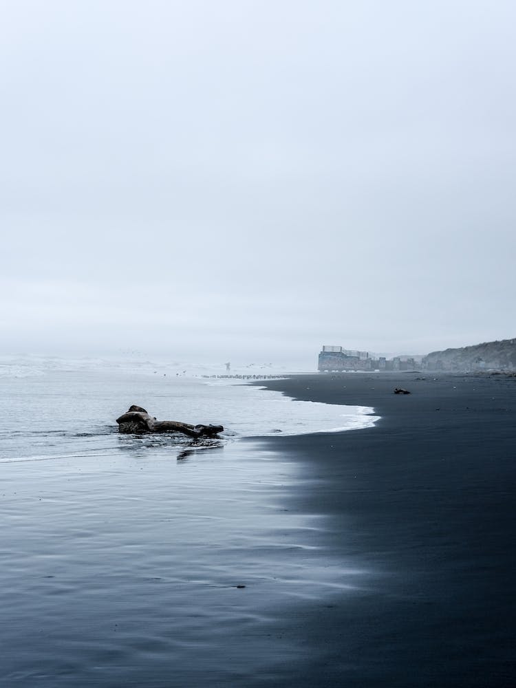 Foggy Morning