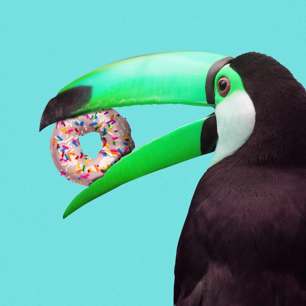 Sweet Toucan Square
