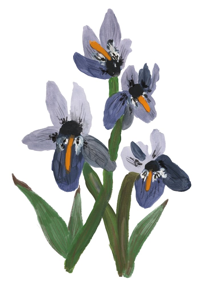 I Keep On Hoping To See