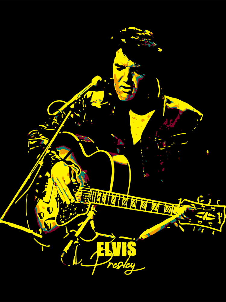 Elvis Presley Musician Legend 2