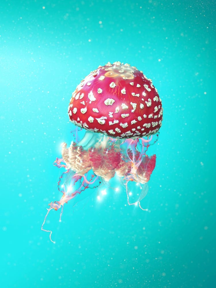 Hallucination