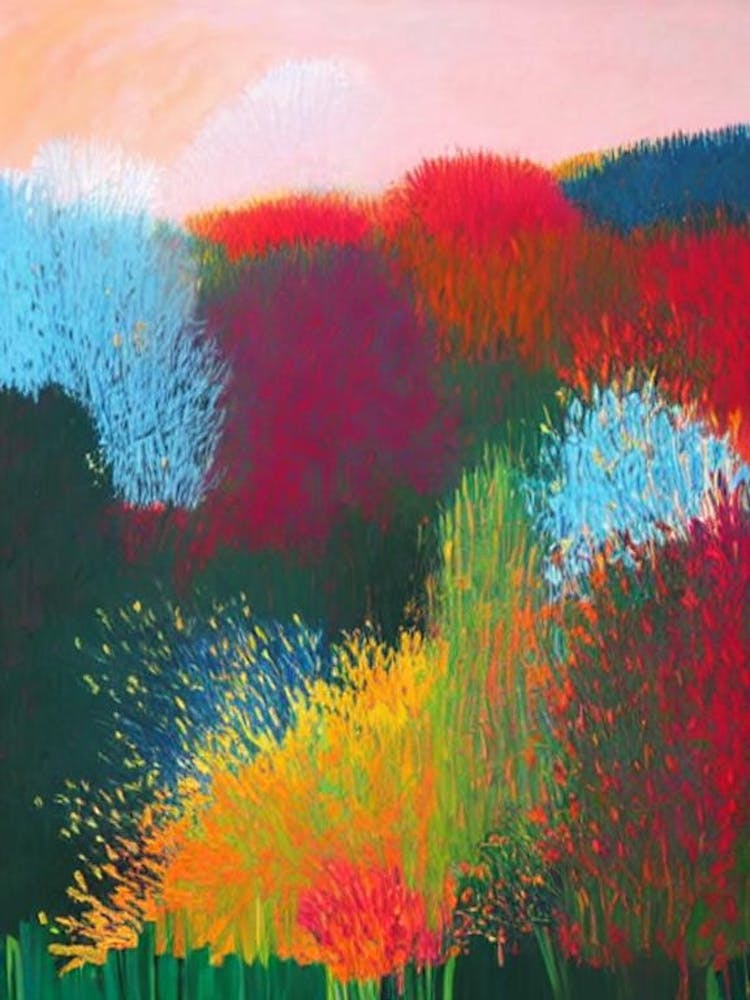 Kakadu National Park Australia Abstract Colourful
