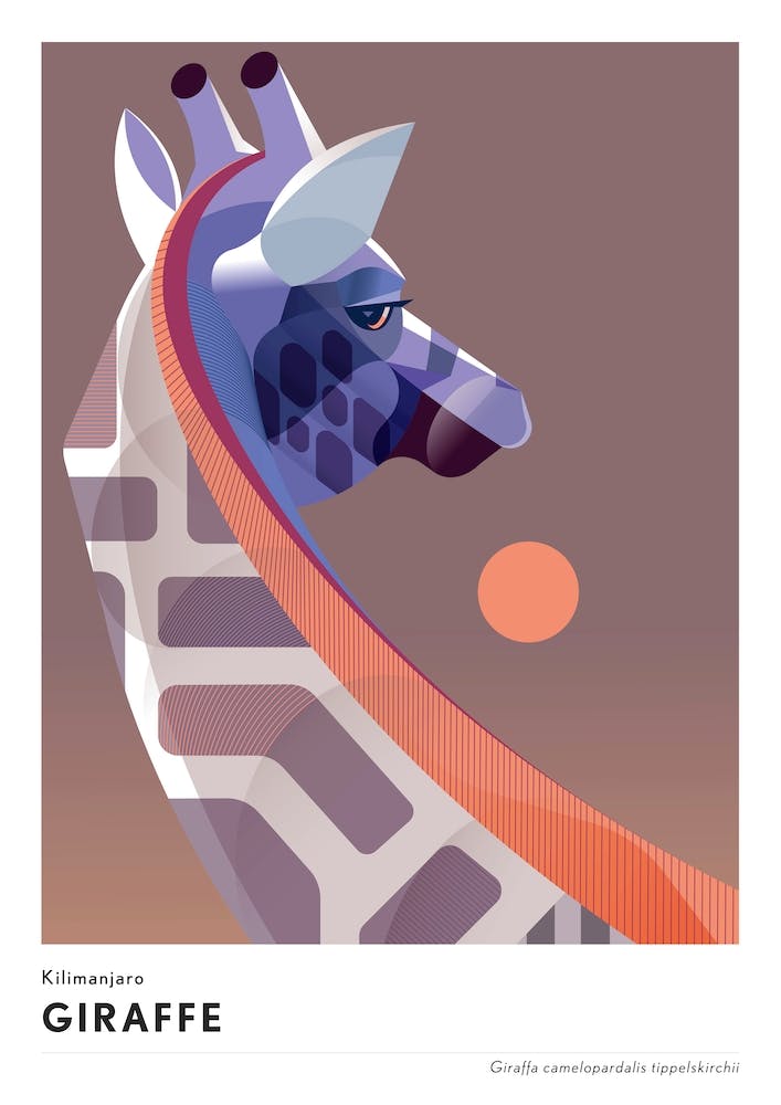 Kilimanjaro Giraffe