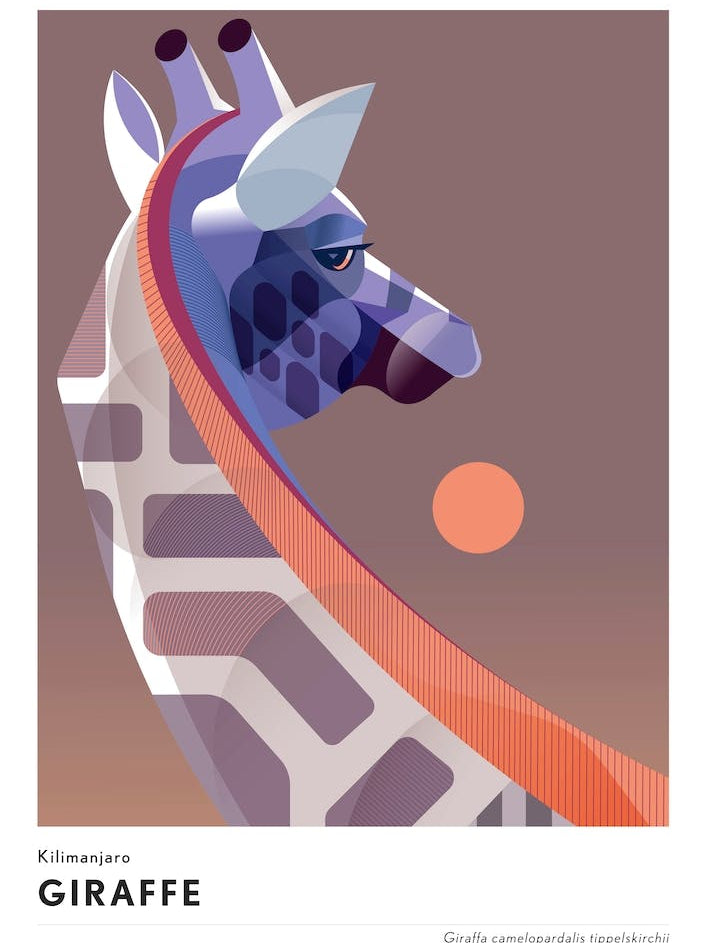 Kilimanjaro Giraffe