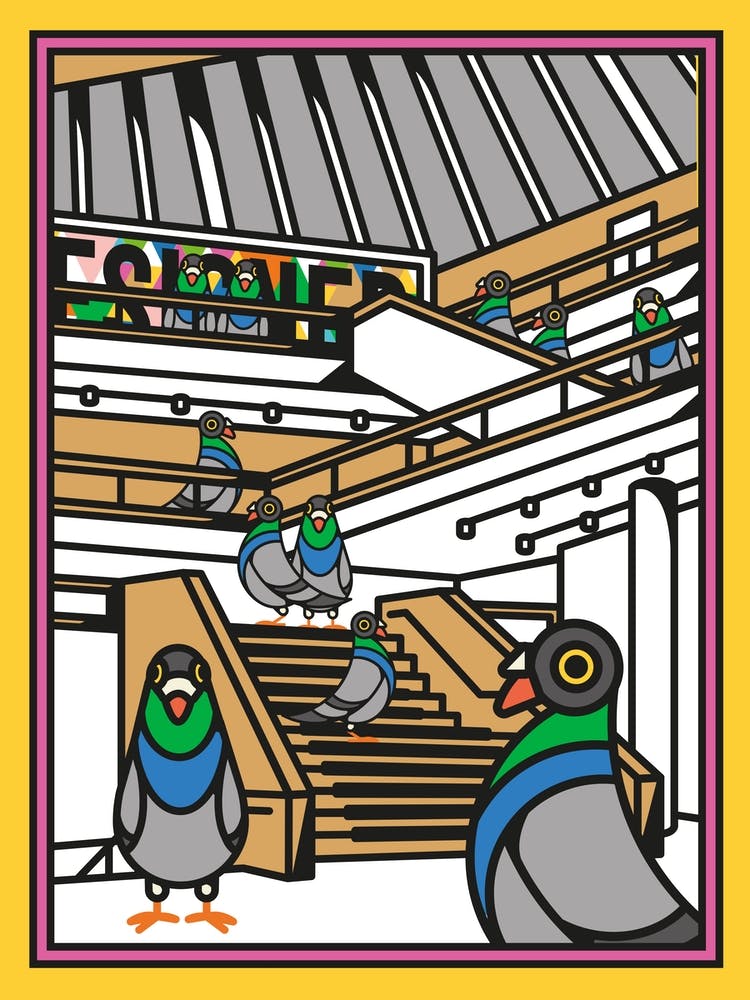 London Pigeons At The Design Museum