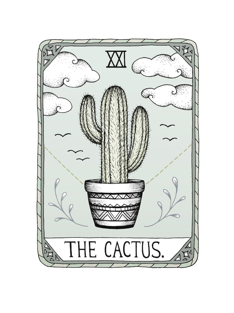 The Cactus