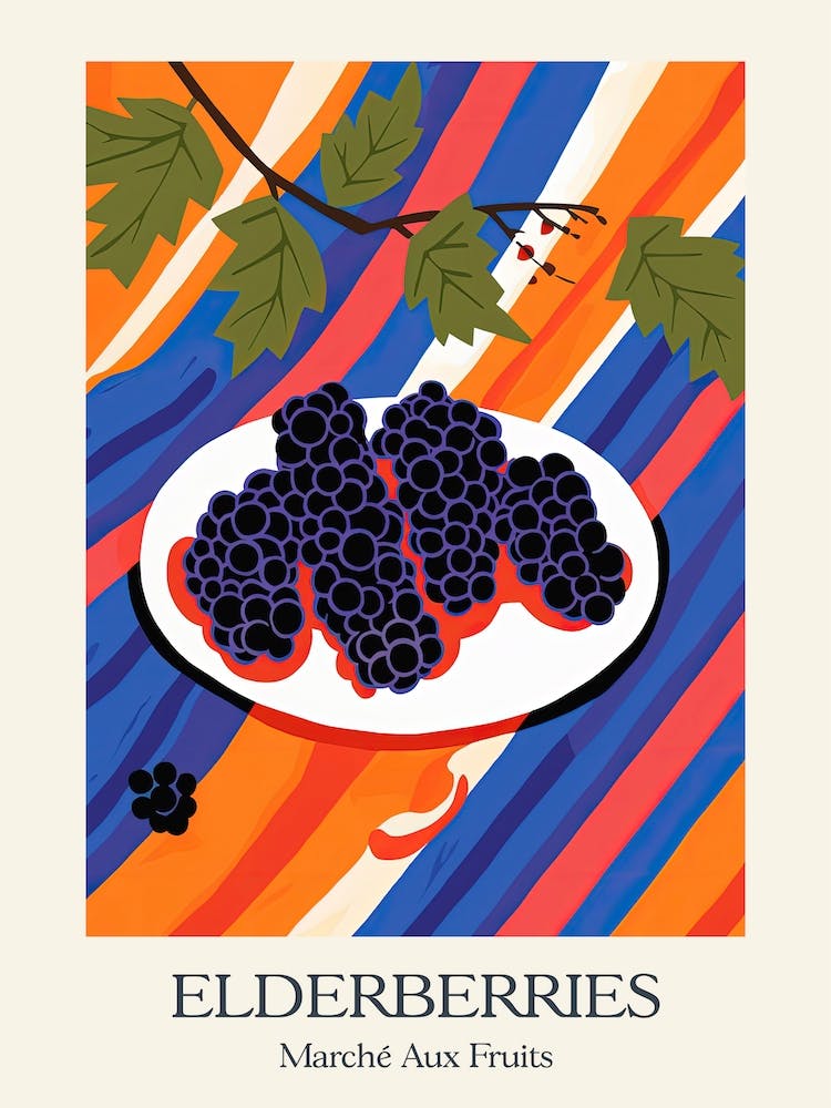 Marche Aux Fruits Elderberries Fruit Summer Illustration 2