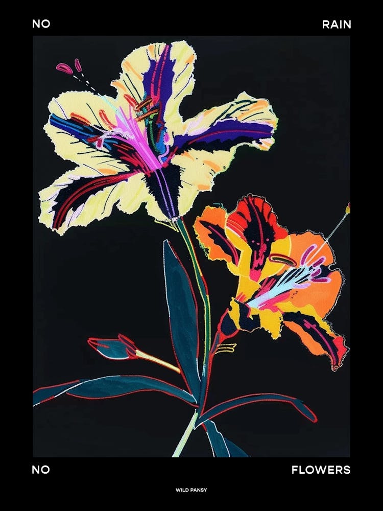 No Rain No Flowers Poster Wild Pansy 4