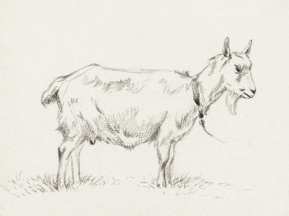 Standing Goat (1809), Jean Bernard