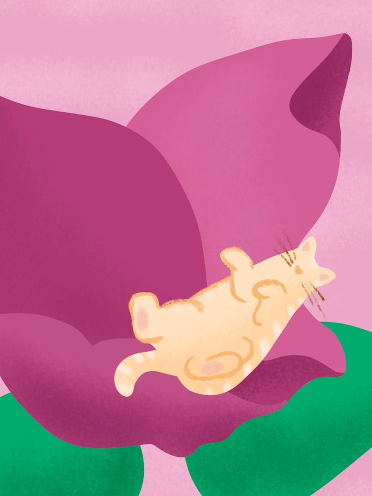 Cat Sleeping On A Flower