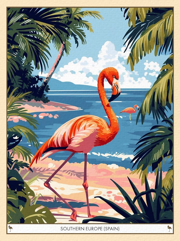 Greater Flamingo Southern Europe Spain Tropical Illustration 5 Poster