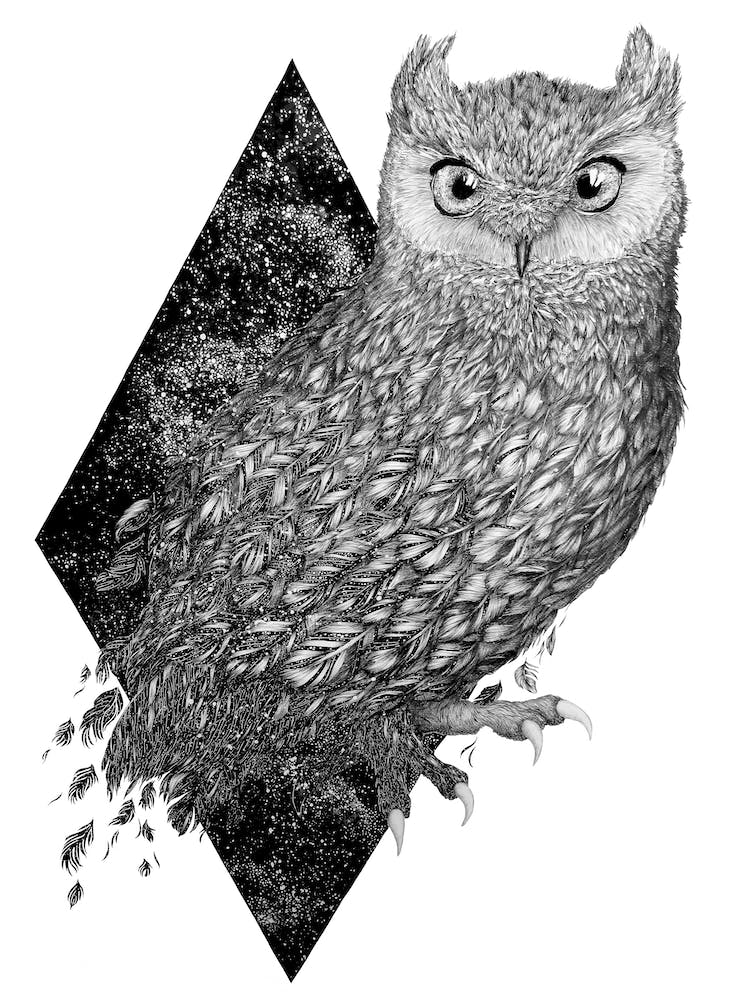 Cosmic Owl