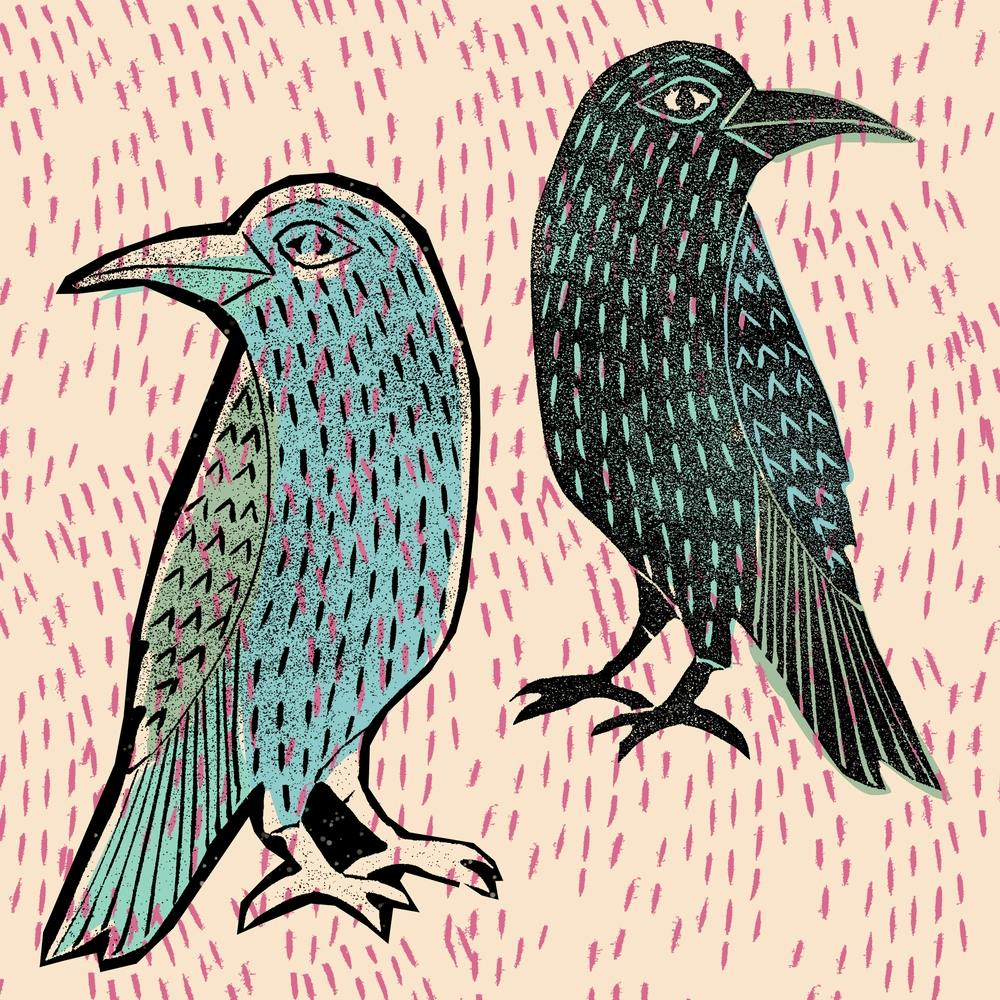 A Crow And His Reflection Square