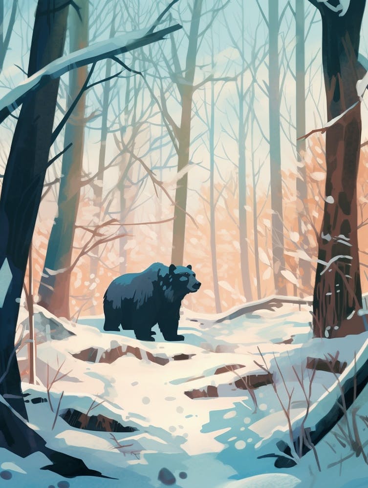 Winter Black Bear 1 Illustration