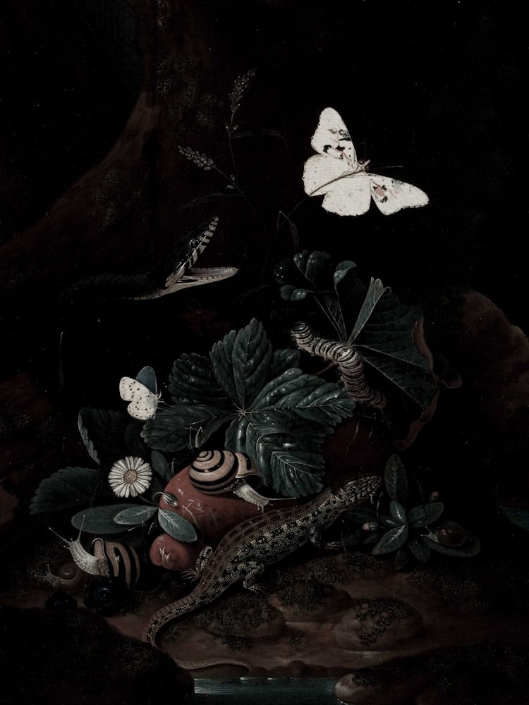 'Flying Butterflies'