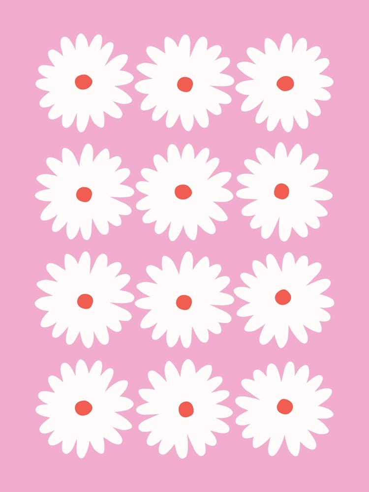 Daisy Pink Red