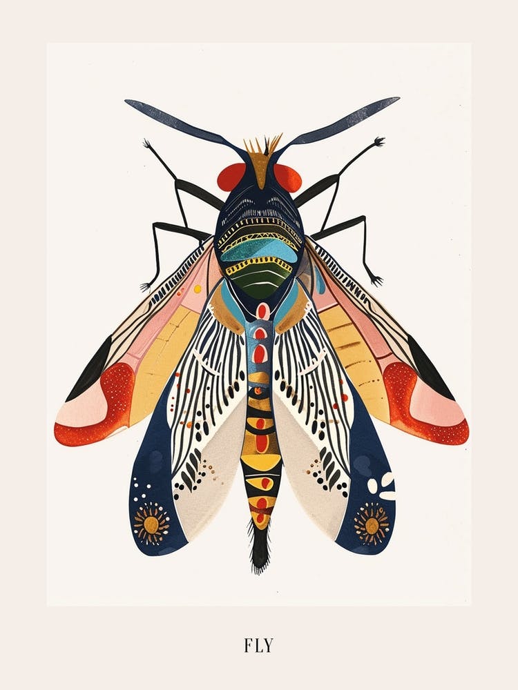 Colourful Insect Illustration Fly 5 Poster