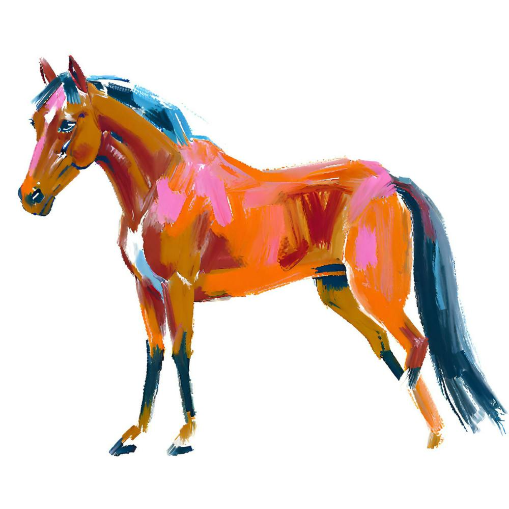 Arabian Horse 04