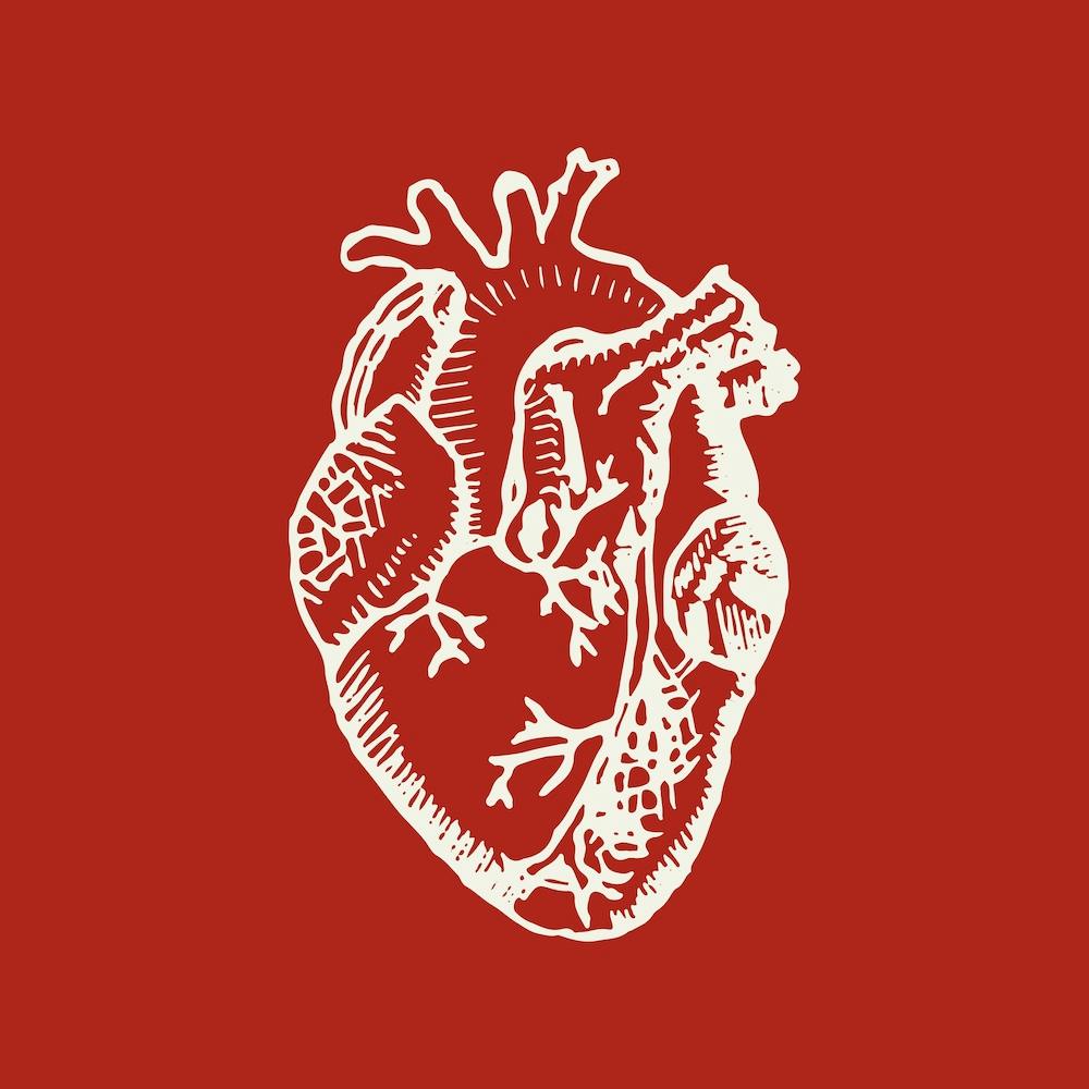 Human Heart Square