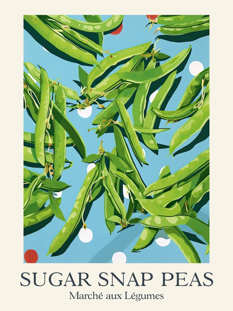 Marche Aux Legumes Sugar Snap Peas Summer Illustration 2
