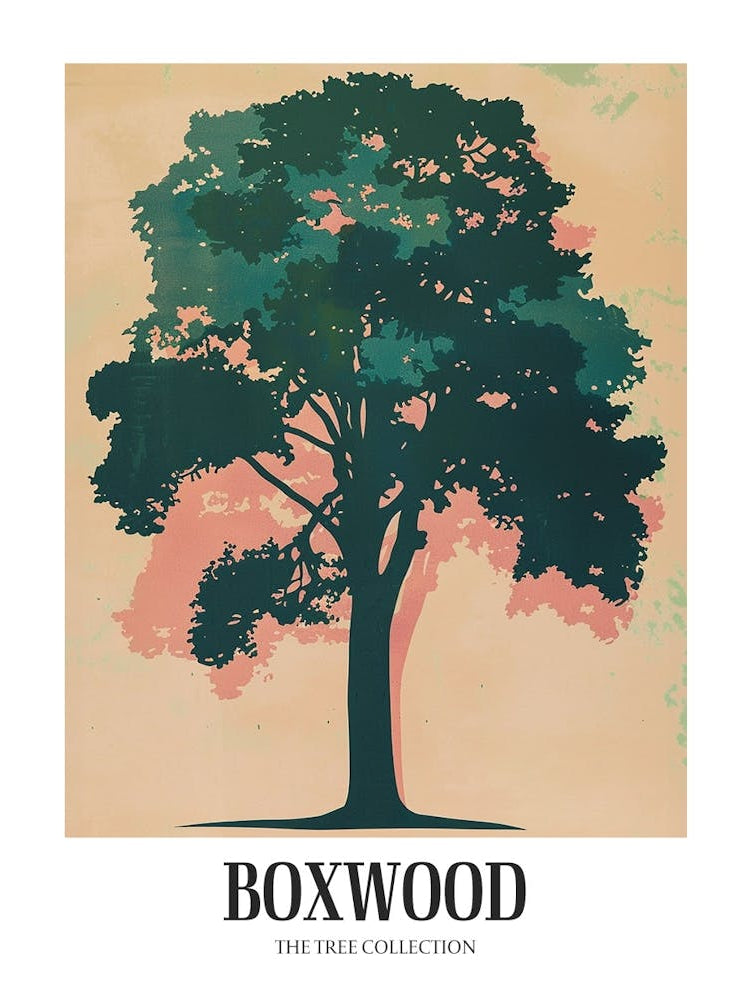 Boxwood Tree Colourful Illustration 4 Poster