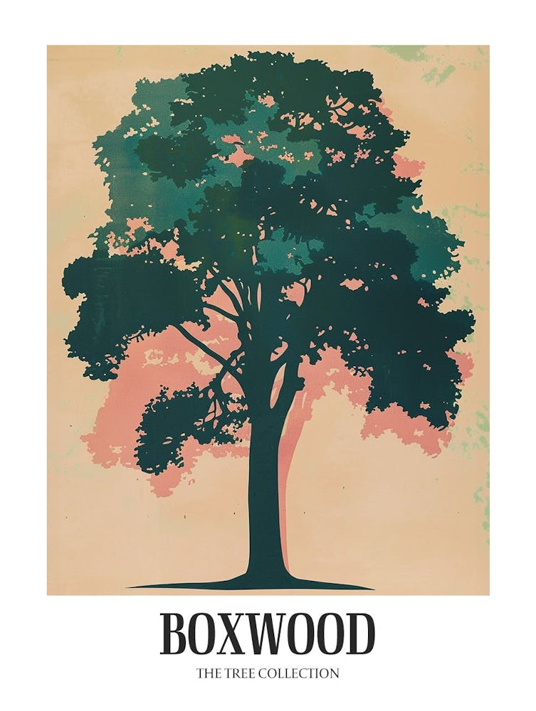 Boxwood Tree Colourful Illustration 4 Poster