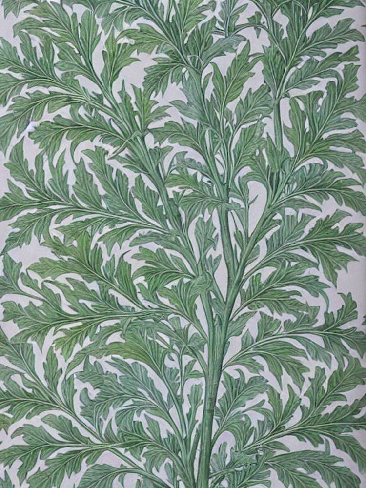 White Oak 2 tree Vintage Botanical