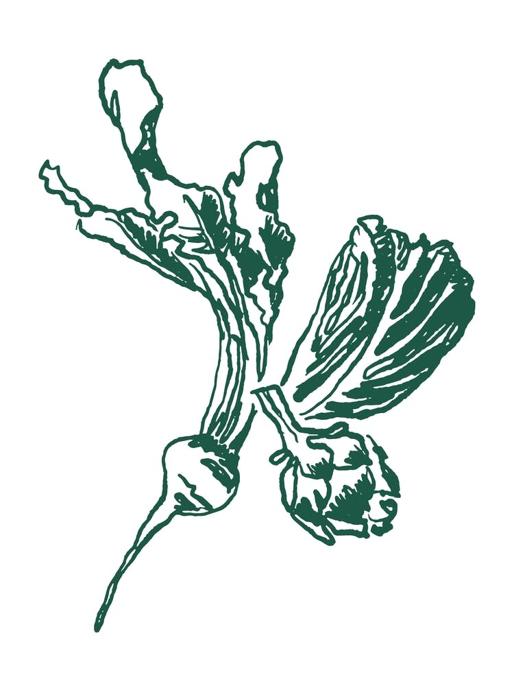Affiche Botanique Légumes – Art Mural Minimaliste Vert pour Cuisine