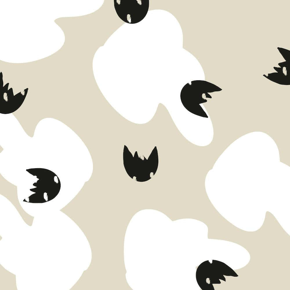 Black And White Sheep