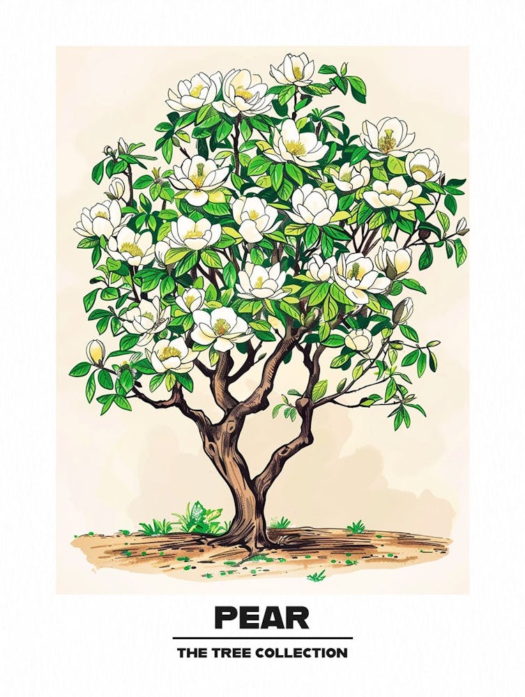 Pear Tree Storybook Illustration 2 Poster