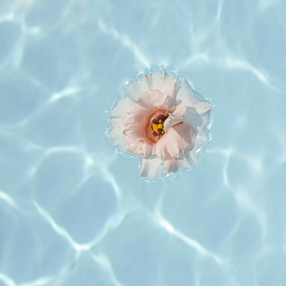 Floating Flower Square