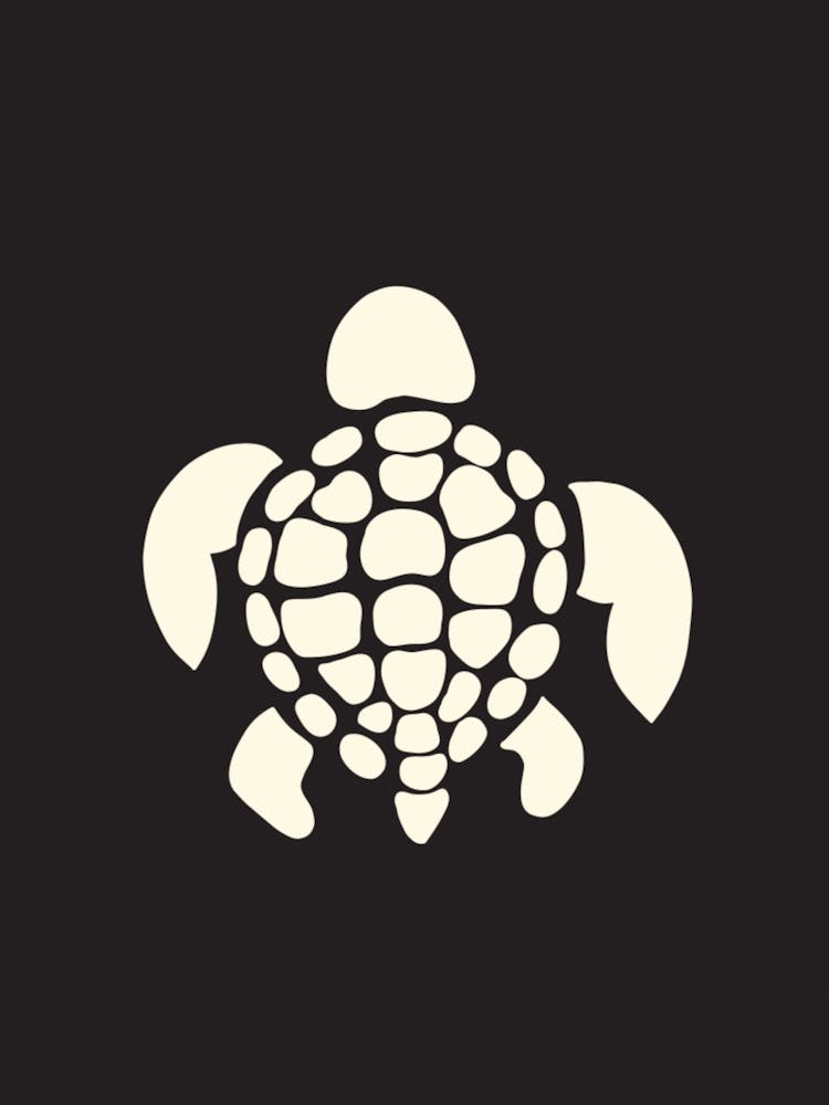 White Turtle On Black