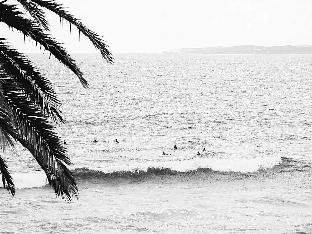 Black White Surf Coastal