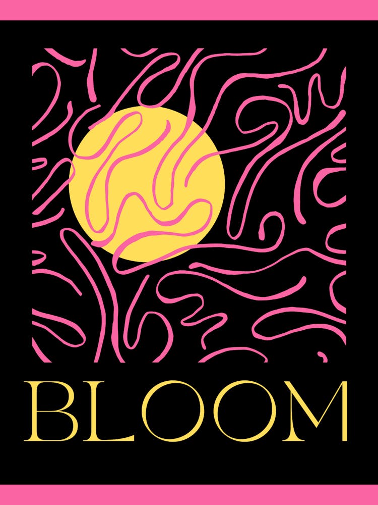 Bloom